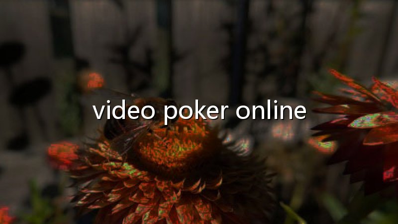 Poker game website: transforme cada partida em uma experiência melhor