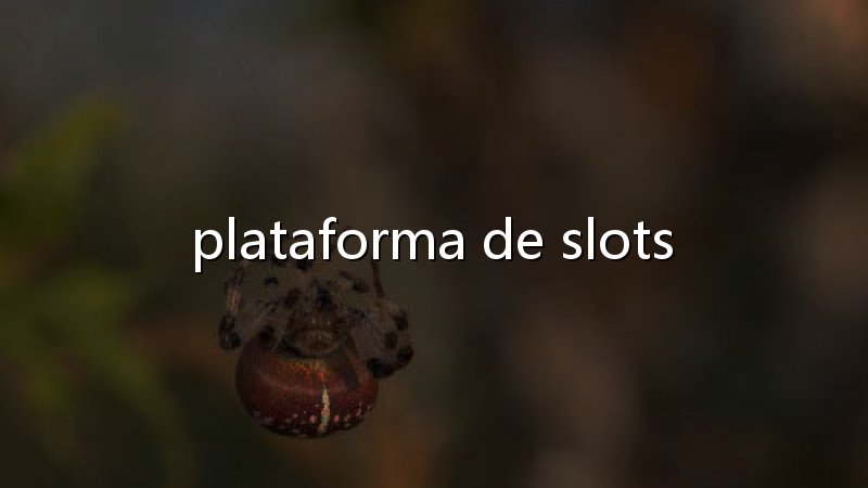 Maior Ganhador de Poker do Mundo: Estratégia, Disciplina e Ambição nas Mesas